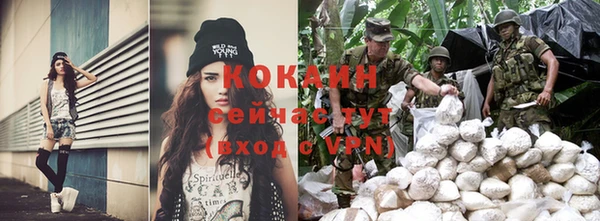 прущие грибы Волоколамск