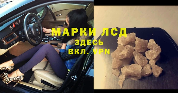 прущие грибы Волоколамск