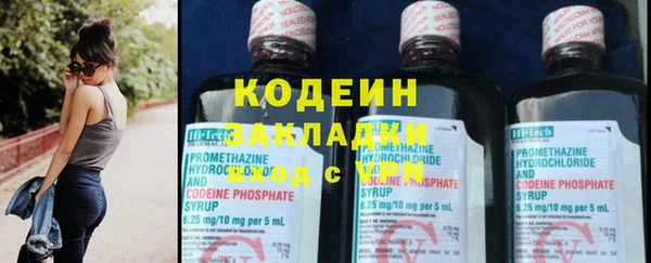 прущие грибы Волоколамск