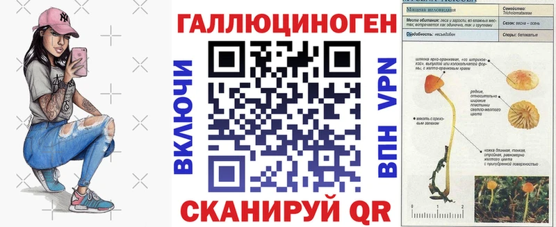 купить закладку Гаджиево Галлюциногенные грибы прущие грибы